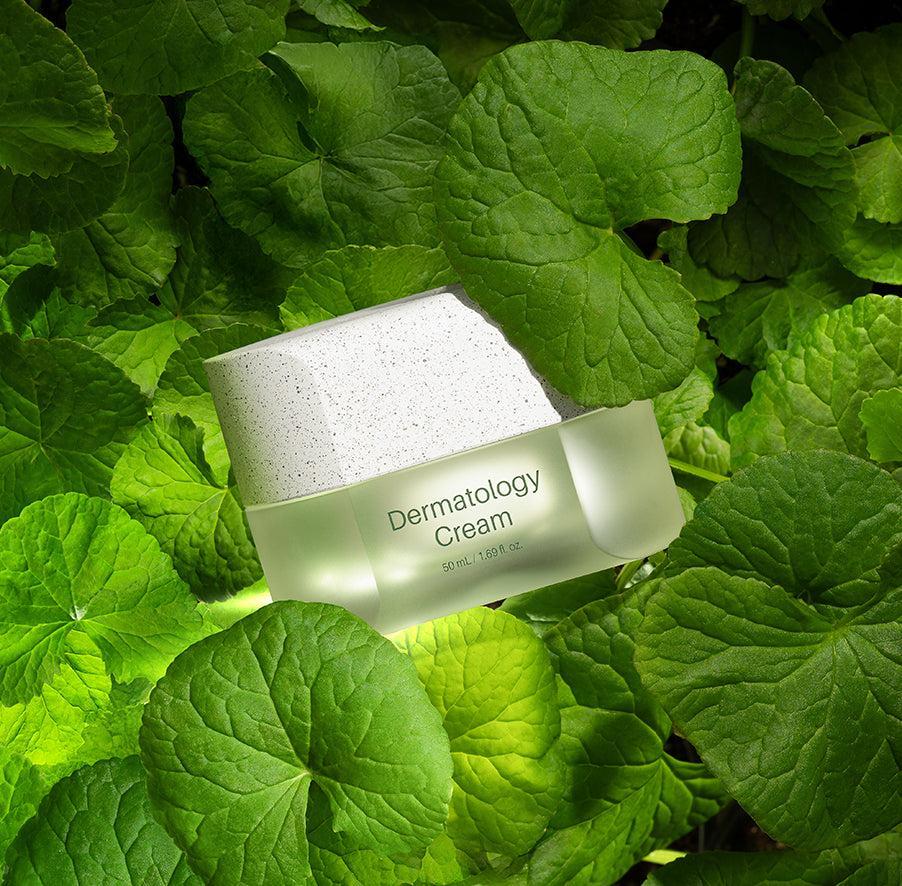 Incellderm ICD Dermatology Cream - RIMAN KBeauty - Korean Skincare Routine for Glass Skin