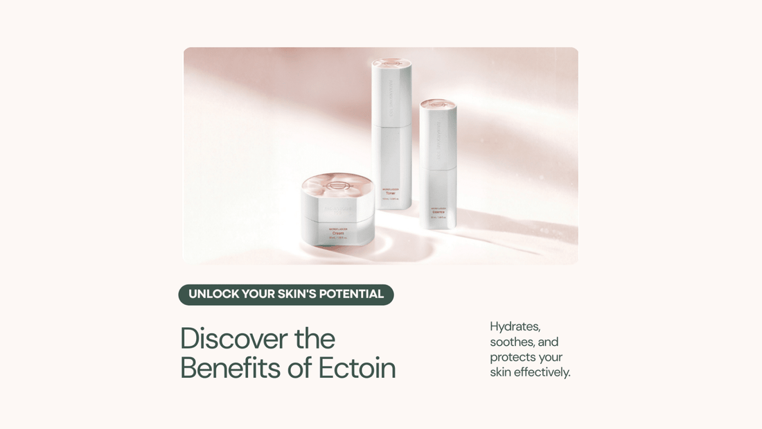The 2026 Ultimate Guide to Ectoin: Why Your Skin Needs a "Cellular Bodyguard" - RIMAN KBeauty