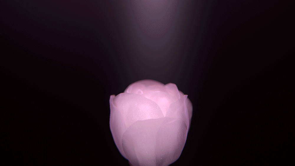 Shop All - RIMAN KBeauty