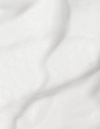 Incellderm ICD Active Snow Enzyme Cleanser Ex