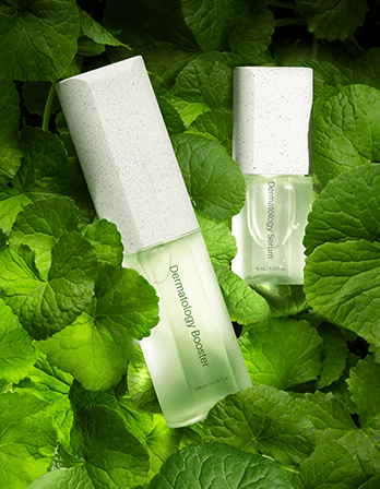 Incellderm Dermatology First Package Booster and Serum – RIMAN KBeauty Incellderm Dermatology First Package Booster and Serum – RIMAN KBeauty