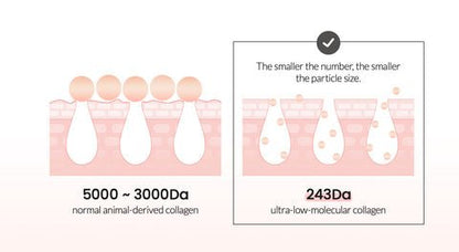 Biodance - Bio Collagen Real Deep Mask for Pore Minimizing & Firming Care - RIMAN KBeauty - 
